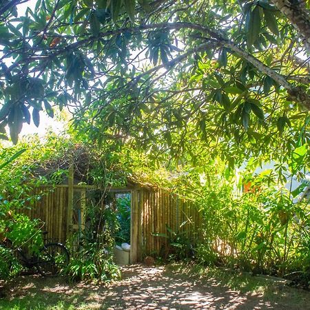 Petit Quadrado No Melhor Lugar De Trancoso Exteriör bild